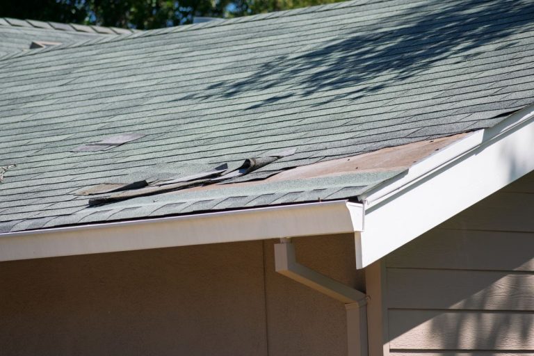Damaged asphalt shingles are visible on a residential roof, with several pieces curled and missing, revealing the wooden underlayment beneath. Edina, MN
