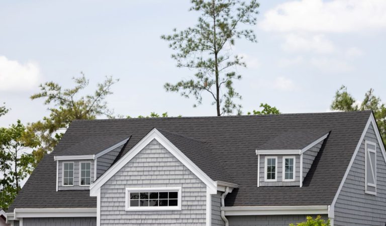 Roof shingles with garret house on top of the house among a lot of trees, Edina, MN