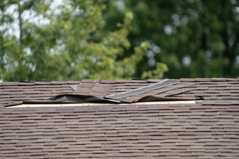 roof shingles have been damaged by high winds and strong storms in Edina